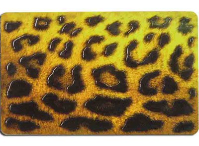 K_Leopard.jpg