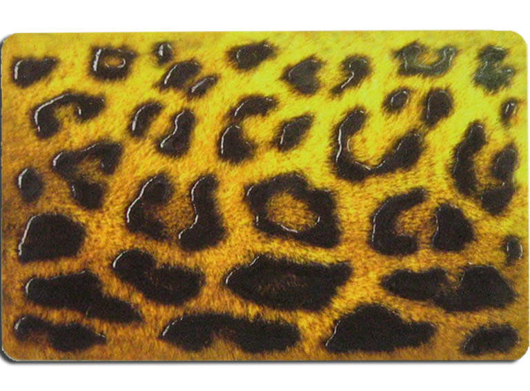 Strukturlack Leopard